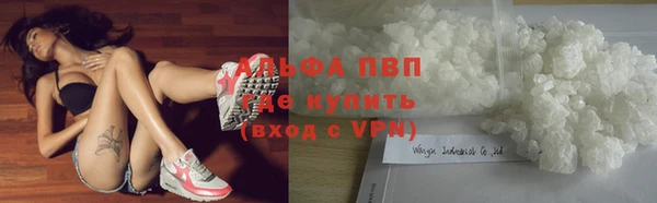 гидра Красноперекопск